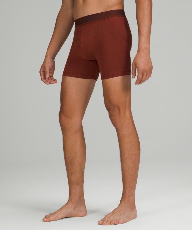 Lululemon Always in Motion Boxer Mesh 3 Pack Underkläder Herr Svarta Bruna | CWYE-50847